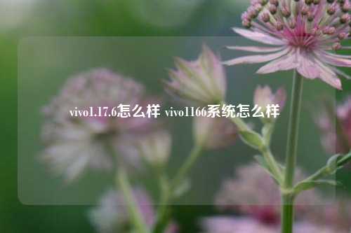 vivo1.17.6怎么样 vivo1166系统怎么样