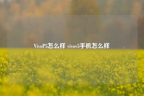 VivoP5怎么样 vivov5手机怎么样