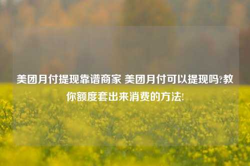 美团月付提现靠谱商家 美团月付可以提现吗?教你额度套出来消费的方法!