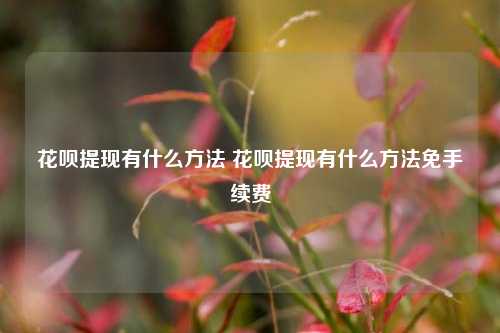 花呗提现有什么方法 花呗提现有什么方法免手续费