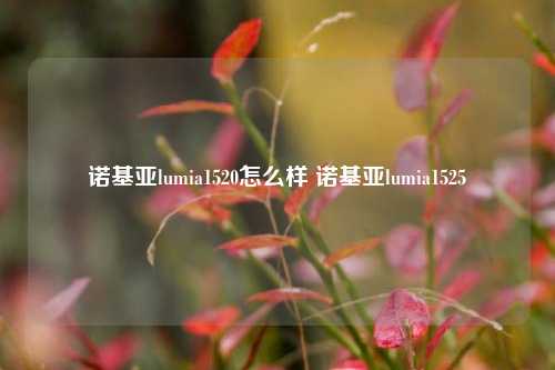 诺基亚lumia1520怎么样 诺基亚lumia1525