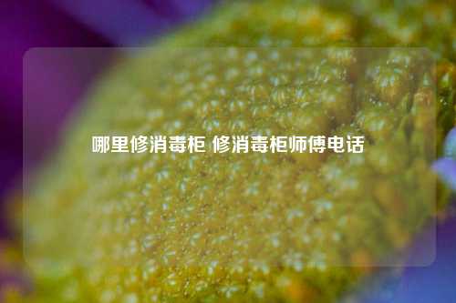 哪里修消毒柜 修消毒柜师傅电话