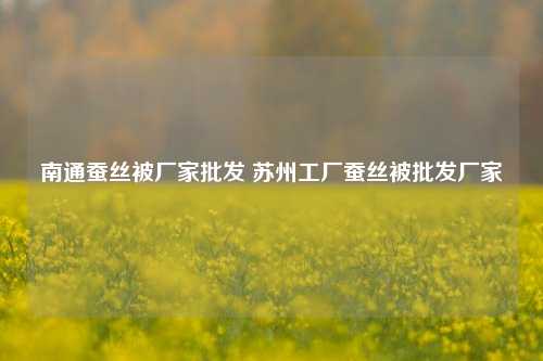 南通蚕丝被厂家批发 苏州工厂蚕丝被批发厂家