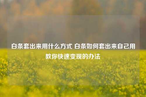 白条套出来用什么方式 白条如何套出来自己用教你快速变现的办法