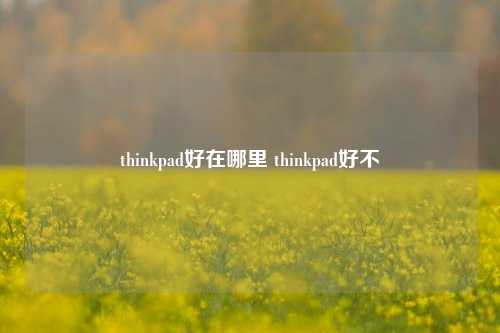 thinkpad好在哪里 thinkpad好不