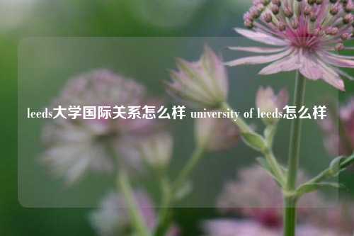 leeds大学国际关系怎么样 university of leeds怎么样