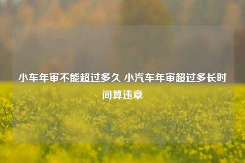 小车年审不能超过多久 小汽车年审超过多长时间算违章