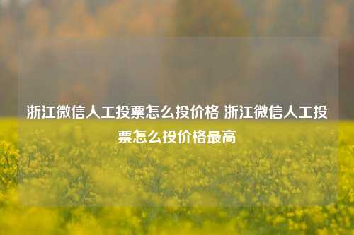 浙江微信人工投票怎么投价格 浙江微信人工投票怎么投价格最高