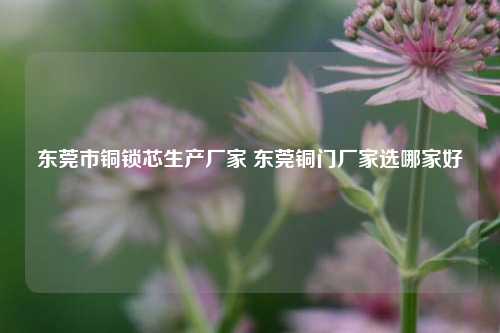 东莞市铜锁芯生产厂家 东莞铜门厂家选哪家好