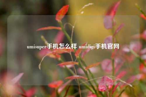 umisuper手机怎么样 umidigi手机官网