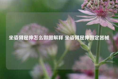 坐姿臂屈伸怎么做图解释 坐姿臂屈伸固定器械