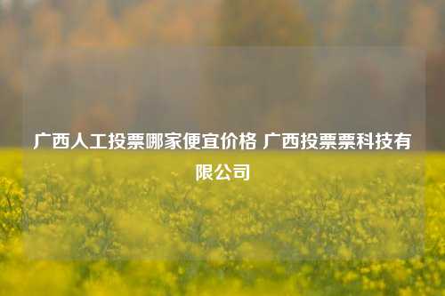 广西人工投票哪家便宜价格 广西投票票科技有限公司