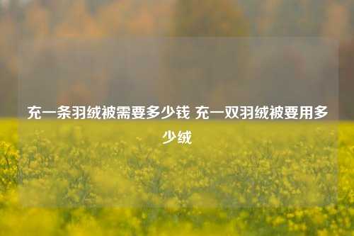 充一条羽绒被需要多少钱 充一双羽绒被要用多少绒