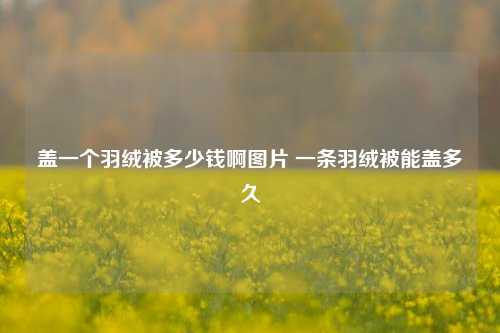 盖一个羽绒被多少钱啊图片 一条羽绒被能盖多久