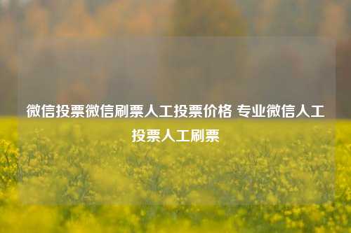 微信投票微信刷票人工投票价格 专业微信人工投票人工刷票