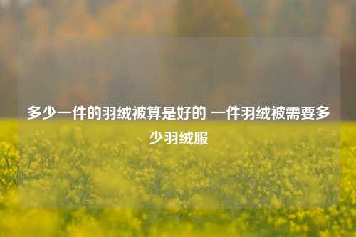 多少一件的羽绒被算是好的 一件羽绒被需要多少羽绒服