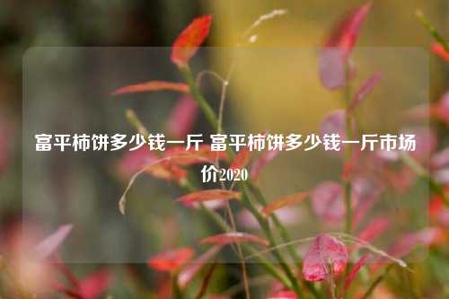 富平柿饼多少钱一斤 富平柿饼多少钱一斤市场价2020