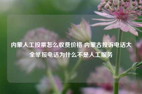 内蒙人工投票怎么收费价格 内蒙古投诉电话大全举报电话为什么不是人工服务