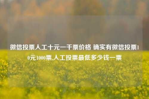 微信投票人工十元一千票价格 确实有微信投票10元1000票,人工投票最低多少钱一票