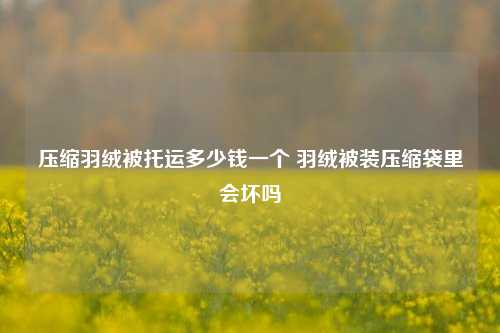 压缩羽绒被托运多少钱一个 羽绒被装压缩袋里会坏吗