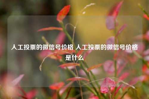 人工投票的微信号价格 人工投票的微信号价格是什么