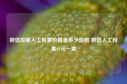 微信投票人工投票价格是多少价格 微信人工投票01元一票