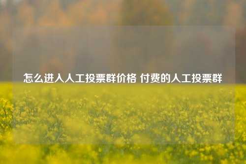 怎么进入人工投票群价格 付费的人工投票群