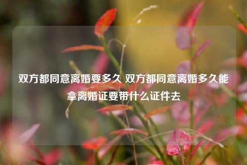 双方都同意离婚要多久 双方都同意离婚多久能拿离婚证要带什么证件去