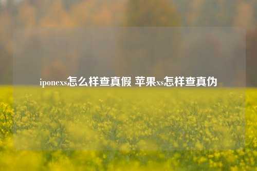 iponexs怎么样查真假 苹果xs怎样查真伪