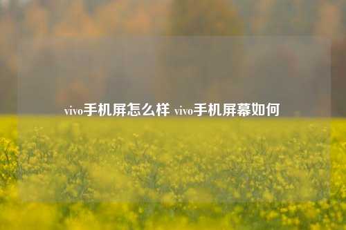 vivo手机屏怎么样 vivo手机屏幕如何