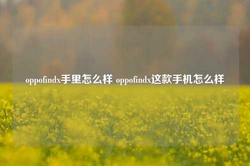 oppofindx手里怎么样 oppofindx这款手机怎么样