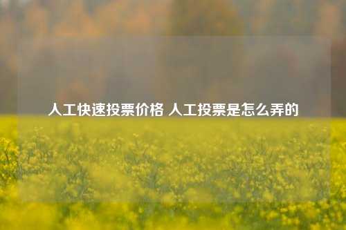 人工快速投票价格 人工投票是怎么弄的