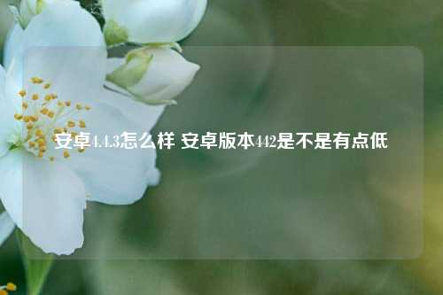 安卓4.4.3怎么样 安卓版本442是不是有点低