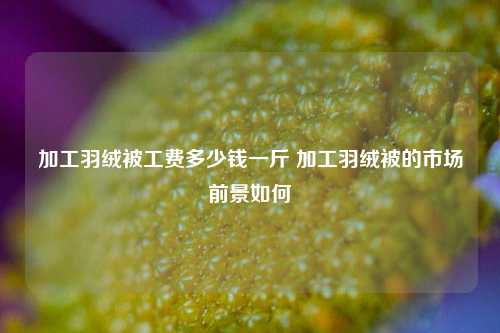 加工羽绒被工费多少钱一斤 加工羽绒被的市场前景如何