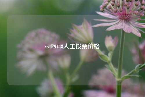 vxtP9448人工投票价格