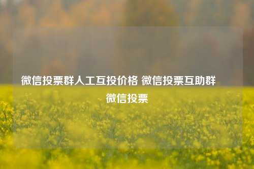 微信投票群人工互投价格 微信投票互助群 – 微信投票