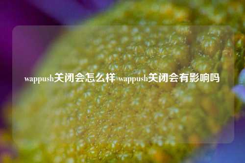 wappush关闭会怎么样 wappush关闭会有影响吗