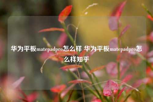 华为平板matepadpro怎么样 华为平板matepadpro怎么样知乎