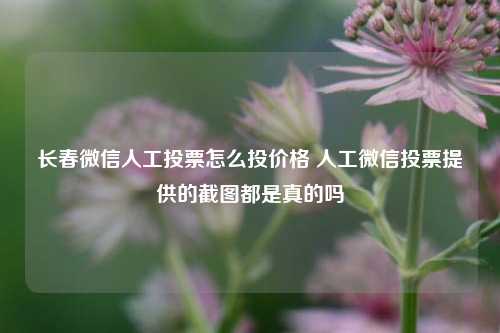 长春微信人工投票怎么投价格 人工微信投票提供的截图都是真的吗