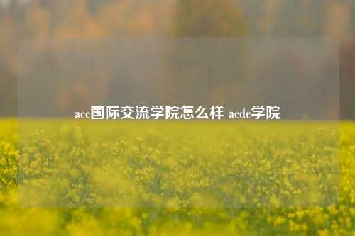 acc国际交流学院怎么样 acdc学院