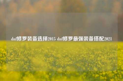 dnf修罗装备选择2015 dnf修罗最强装备搭配2021