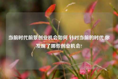 当前时代前景创业机会如何 针对当前的时代,你发现了哪些创业机会?