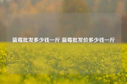 蓝莓批发多少钱一斤 蓝莓批发价多少钱一斤