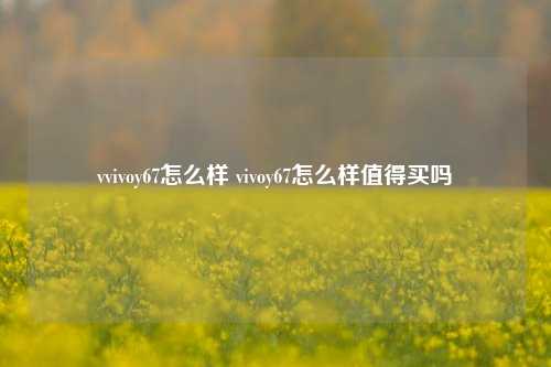 vvivoy67怎么样 vivoy67怎么样值得买吗