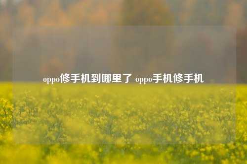 oppo修手机到哪里了 oppo手机修手机