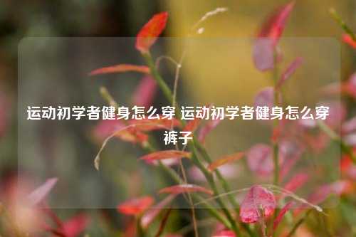 运动初学者健身怎么穿 运动初学者健身怎么穿裤子