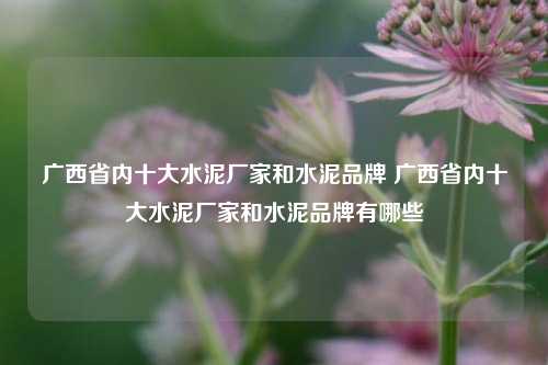 广西省内十大水泥厂家和水泥品牌 广西省内十大水泥厂家和水泥品牌有哪些