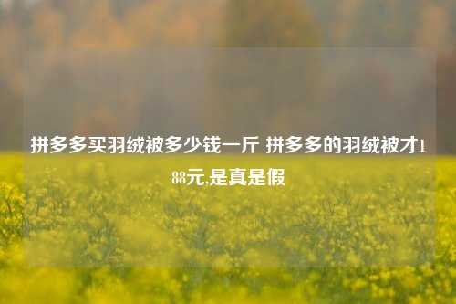 拼多多买羽绒被多少钱一斤 拼多多的羽绒被才188元,是真是假