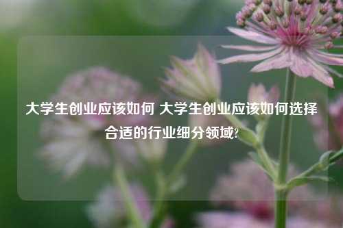 大学生创业应该如何 大学生创业应该如何选择合适的行业细分领域?