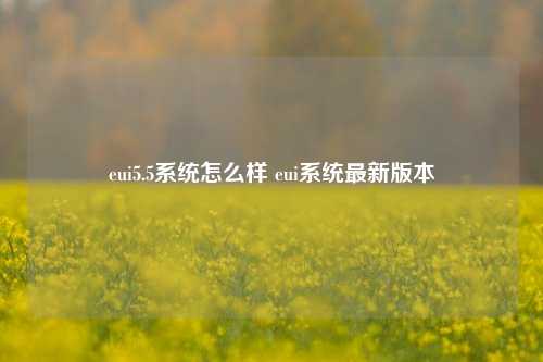 eui5.5系统怎么样 eui系统最新版本